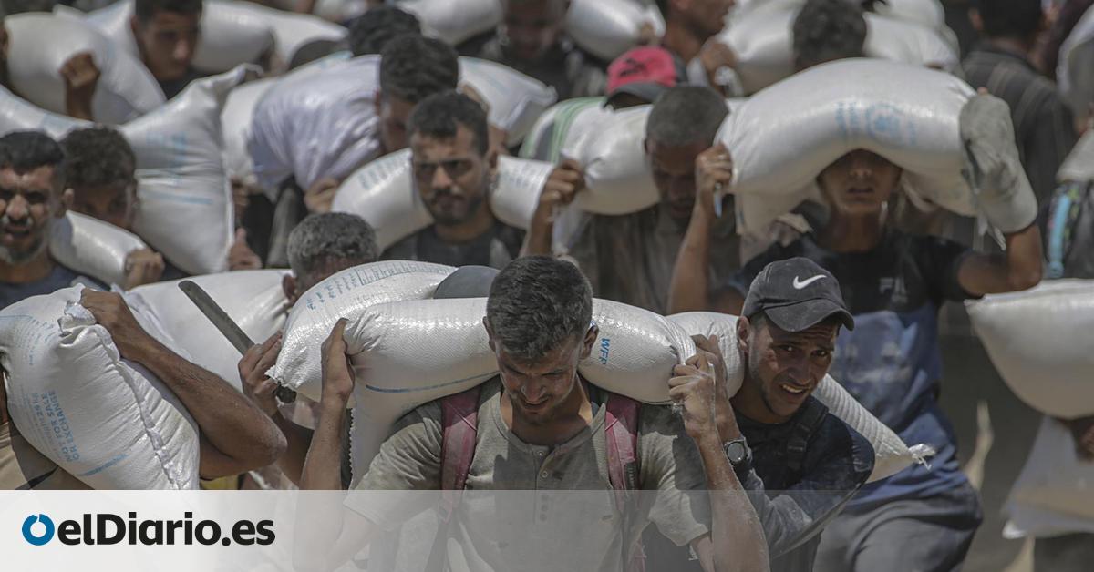cómo Israel ha provocado la inanición en Gaza