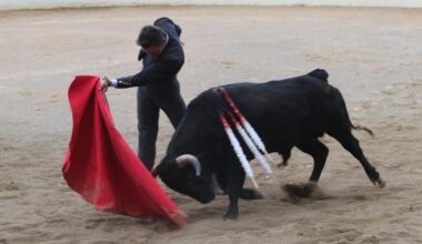 Triunfo de Uceda Leal y El Cid ante buenos novillos de Azcona en Cascante