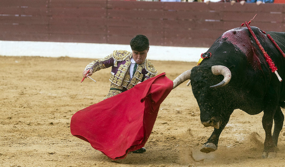 El momento de Morenito de Aranda y la oreja de Jarocho