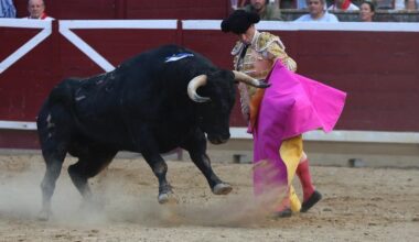 FIESTAS DE TAFALLA Desigual corrida de Palha y sendas orejas para Serna y Pinar