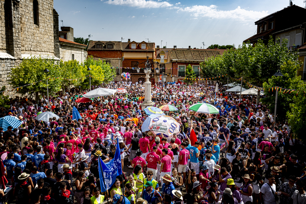 Tradición taurina y música por la Virgen y San Roque en Tudela