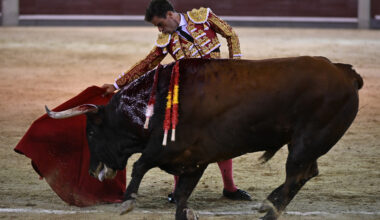 Pinar no tuvo opciones ante un deslucido lote en Las Ventas