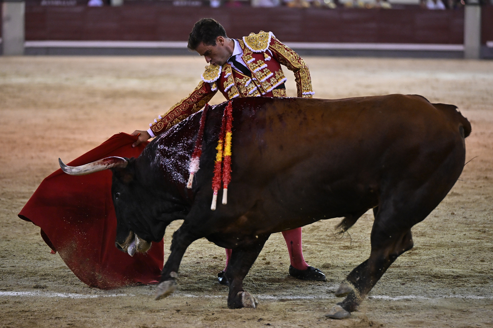 Pinar no tuvo opciones ante un deslucido lote en Las Ventas