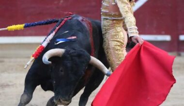 El albacentese Rubén Pinar corta una oreja de peso en Tafalla (Navarra)