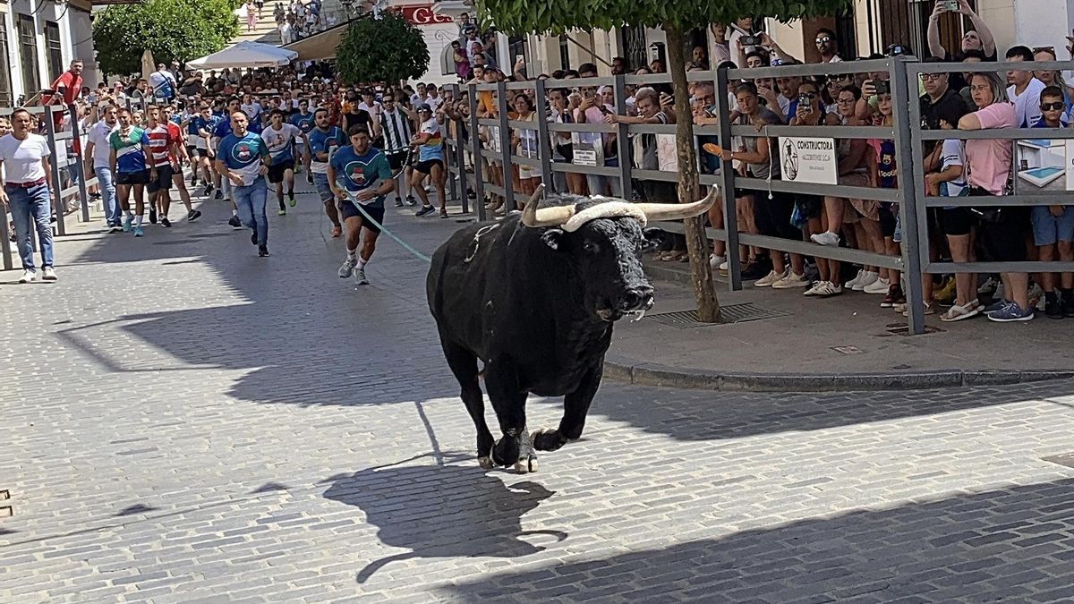 Diario de Córdoba