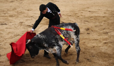 El Certamen Guadalajara Busca Torero triunfa en la provincia