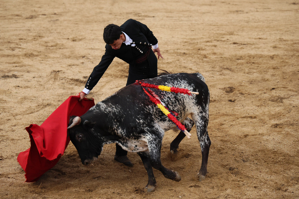 El Certamen Guadalajara Busca Torero triunfa en la provincia