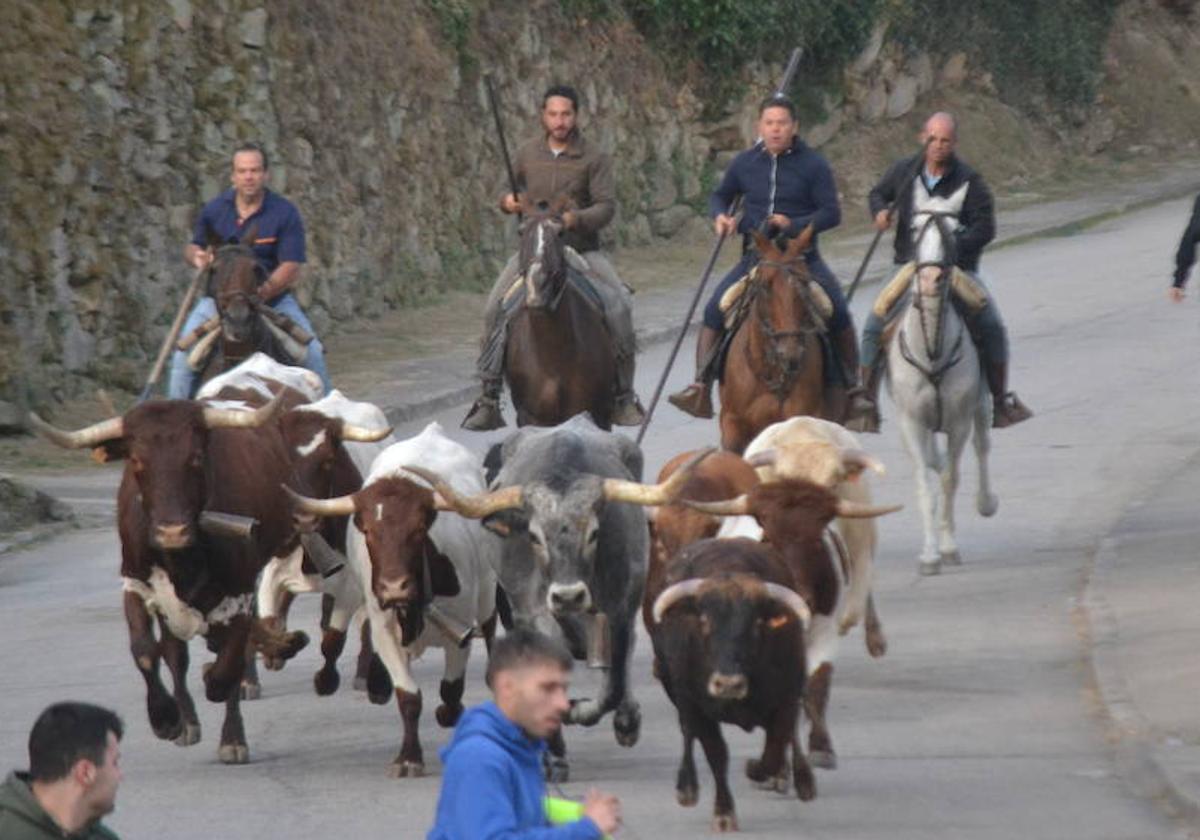 Ritmo frenético en Aldeadávila de la Ribera