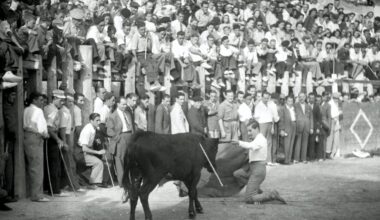 Antonio Bienvenida (foto Ayuntamiento de Arganda del Rey)