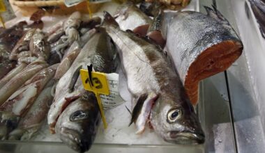 EE.UU. vigila más las importaciones de pescado y la UE le abre su mercado al estadounidense - La Voz de Galicia