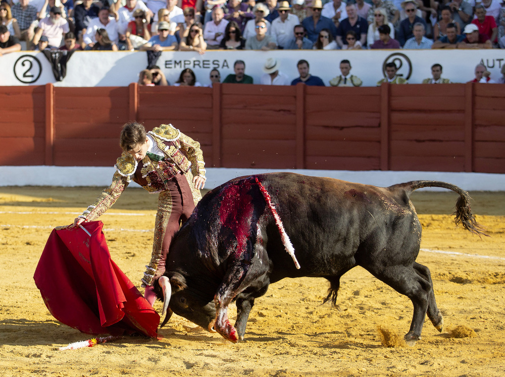 Julio Norte, triunfador del Circuito de Novilladas de CyL
