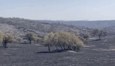 El fuego arrasa casi la totalidad de la finca Los Quintos de Jandilla
