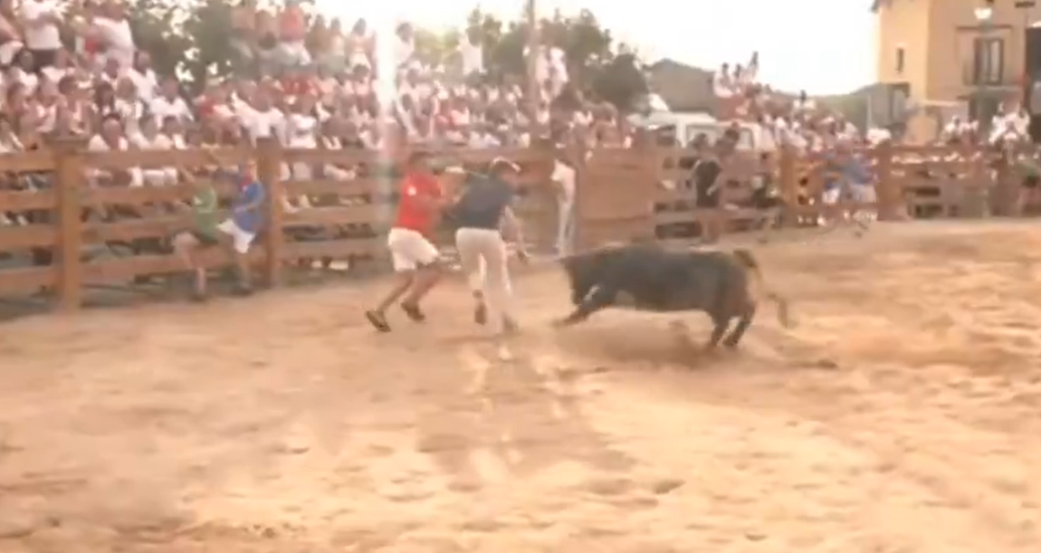 Xabier, exlocutor de Radio Nervión, arrollado en directo por una vaquilla en las fiestas de Sesma