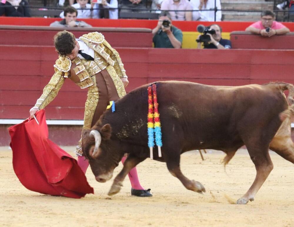 Cortijo: «En las últimas novilladas veo evolución»