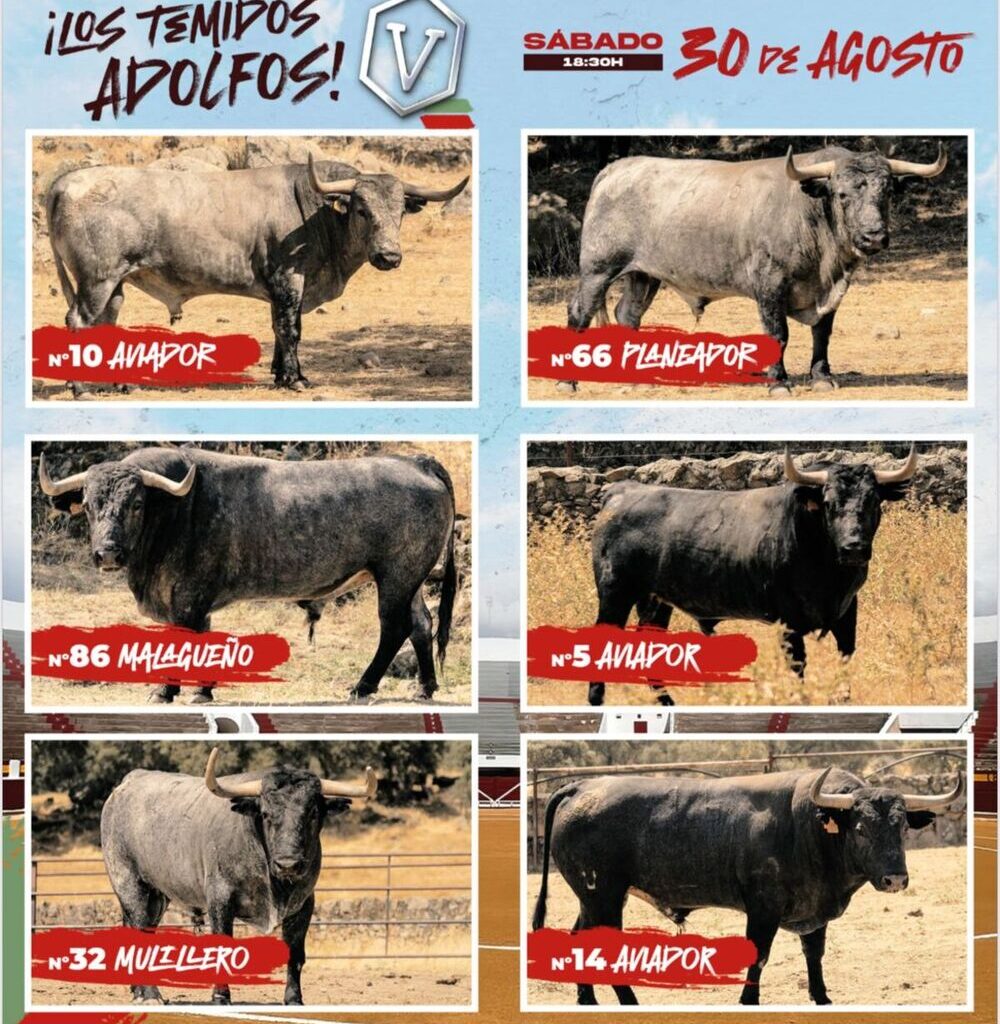 Ciudad Real: Los 'adolfos' vuelven a Daimiel este verano