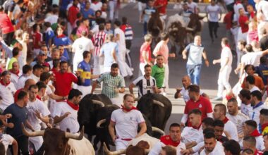 Once heridos por contusiones y caídas en el séptimo encierro de las fiestas de 'Sanse'