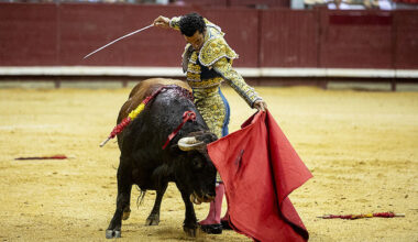 Morenito de Aranda se encerrará con seis toros de Peñajara en la plaza de Talavera de la Reina