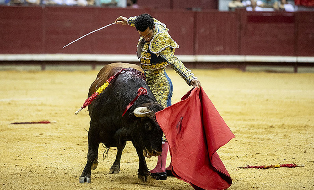 Morenito de Aranda se encerrará con seis toros de Peñajara en la plaza de Talavera de la Reina
