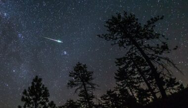Comienza la mejor época del año para ver lluvias de estrellas fugaces con las Perseidas | Sociedad