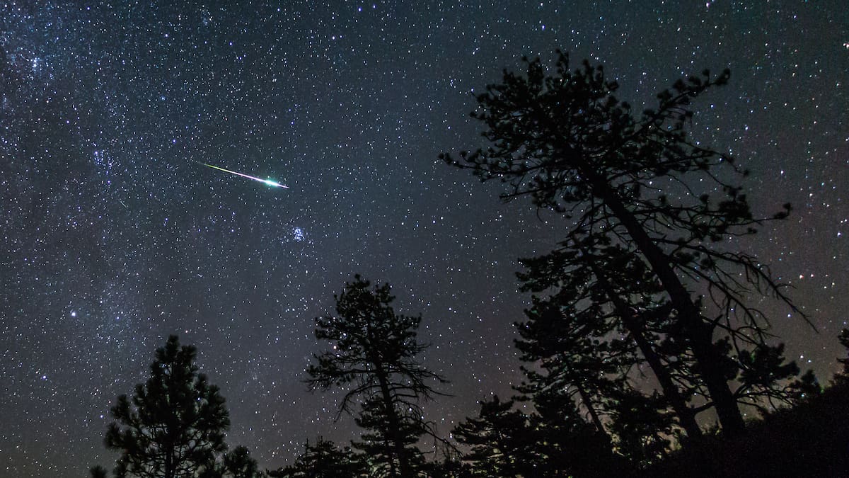 Comienza la mejor época del año para ver lluvias de estrellas fugaces con las Perseidas | Sociedad