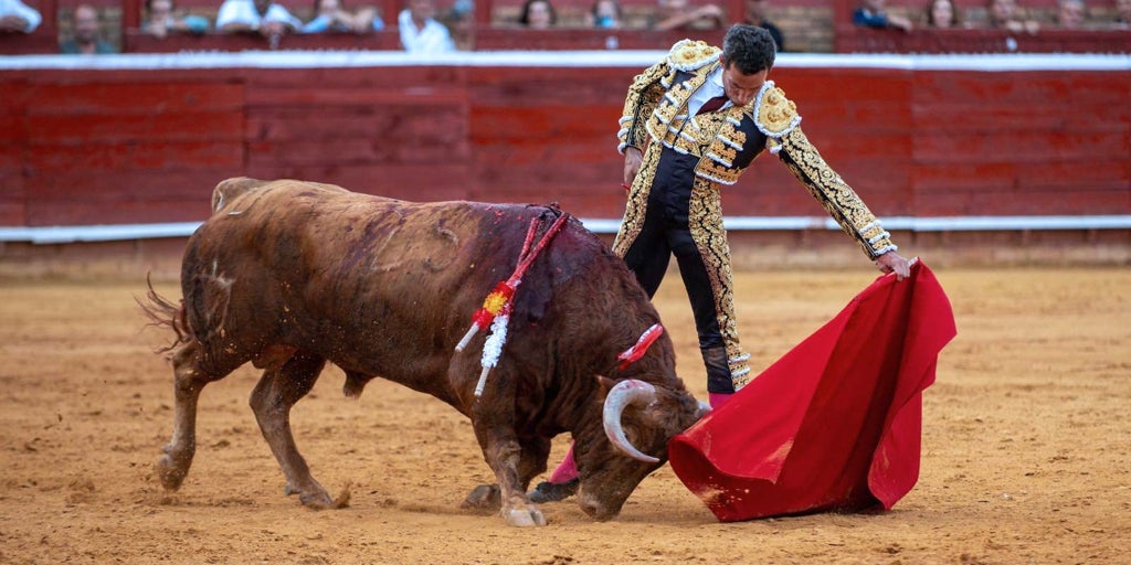 Miranda y dos más