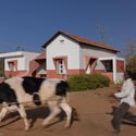 Casa de la Nostalgia / PROJECT TERRA - Fotografía exterior