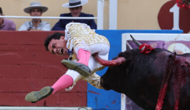 Juan de Castilla, "dos cornadas, una de dos trayectorias de 25 y 10 cm. y otra preocupante y fuerte cercana al ano"