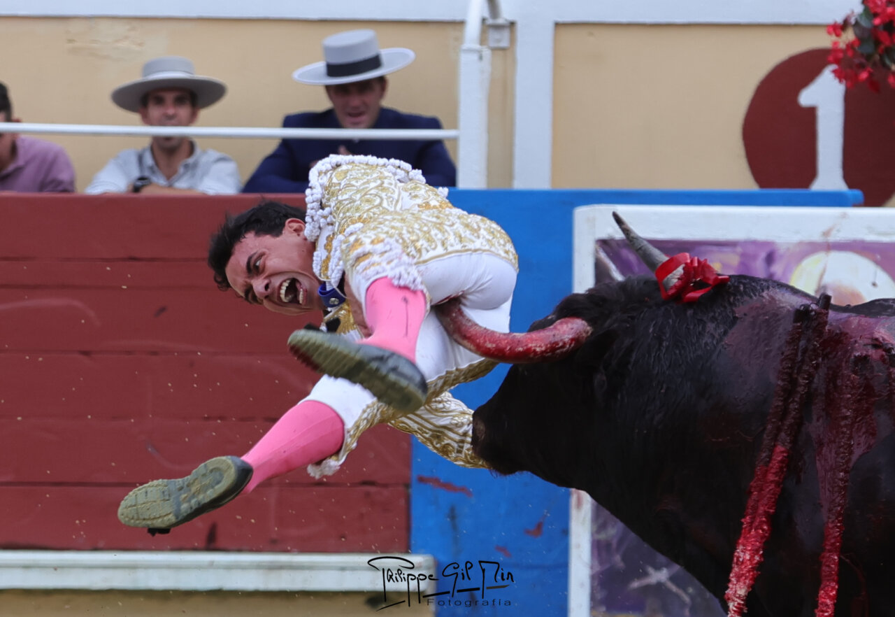 Juan de Castilla, "dos cornadas, una de dos trayectorias de 25 y 10 cm. y otra preocupante y fuerte cercana al ano"