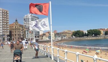 Las carabelas portuguesas siguen al acecho en Asturias: cuatro playas cerradas al baño