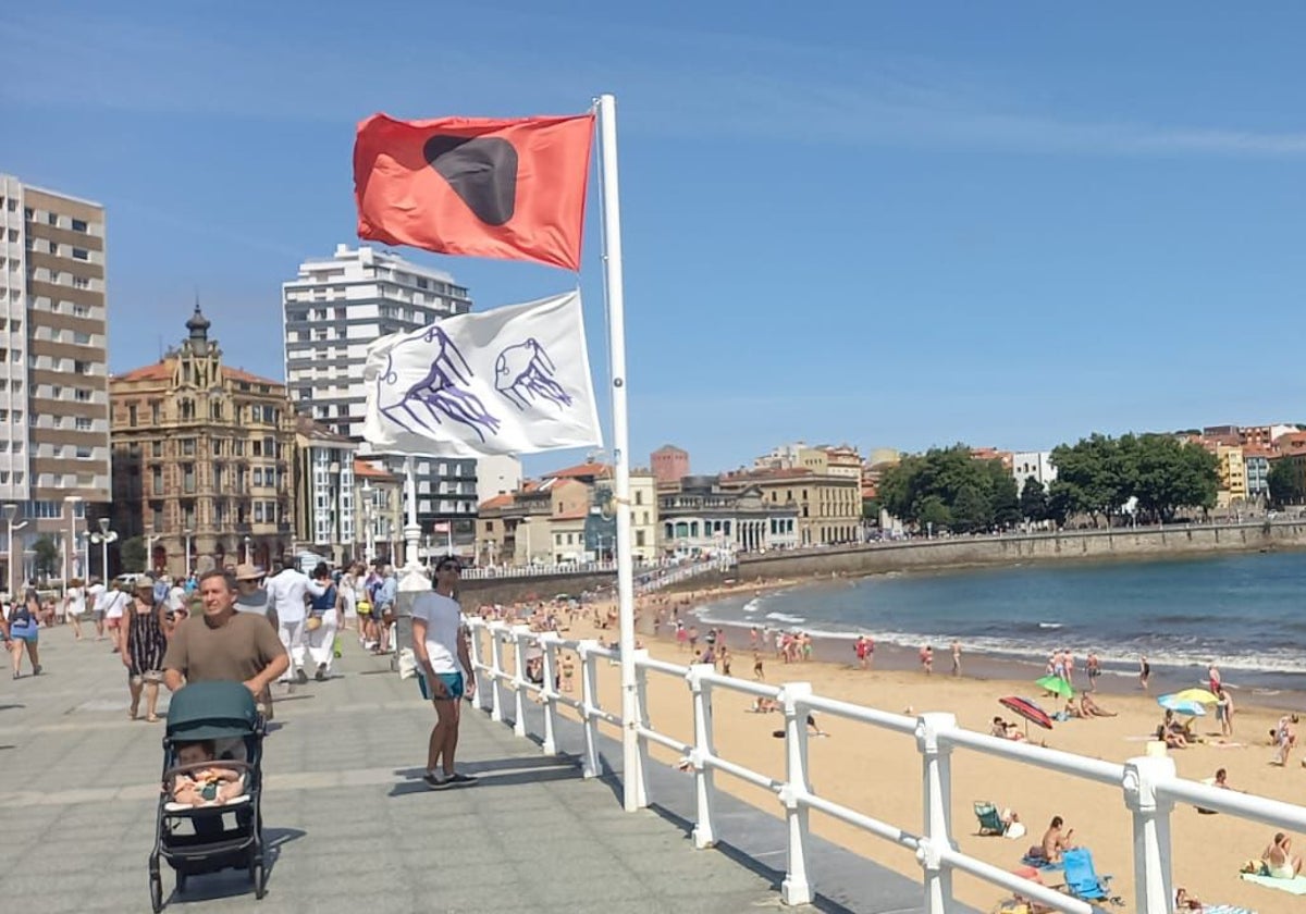 Las carabelas portuguesas siguen al acecho en Asturias: cuatro playas cerradas al baño