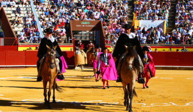Carlos Zúñiga: "Hemos consolidado a Palencia como el top de las Ferias de Castilla y León"