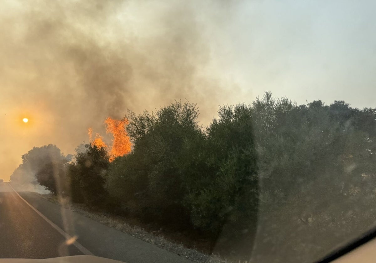 Imgen del incendio difundida por la alcaldesa de Huévar del Aljarafe, María Moreno