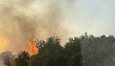 Estabilizado el incendio declarado en Sanlúcar la Mayor junto al Corredor Verde del Guadiamar