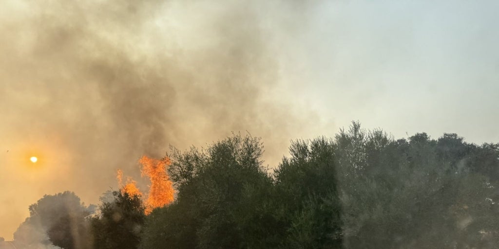 Estabilizado el incendio declarado en Sanlúcar la Mayor junto al Corredor Verde del Guadiamar