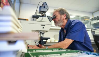 Detectan retrasos del desarrollo cerebral en niños infectados por covid en el embarazo