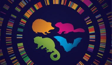 Los ‘superpoderes’ de los animales que hibernan se esconden también en el ADN humano