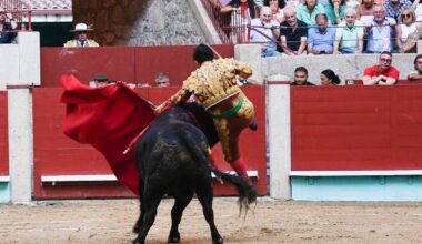 Morante de la Puebla recibe el alta y Gijón sueña con el milagro
