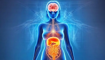 La diversidad microbiana en el