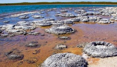 surgió de forma espontánea en la Tierra primitiva