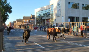 El coste de los encierros taurinos de Parla podría alcanzar los 150.000 € esta legislatura
