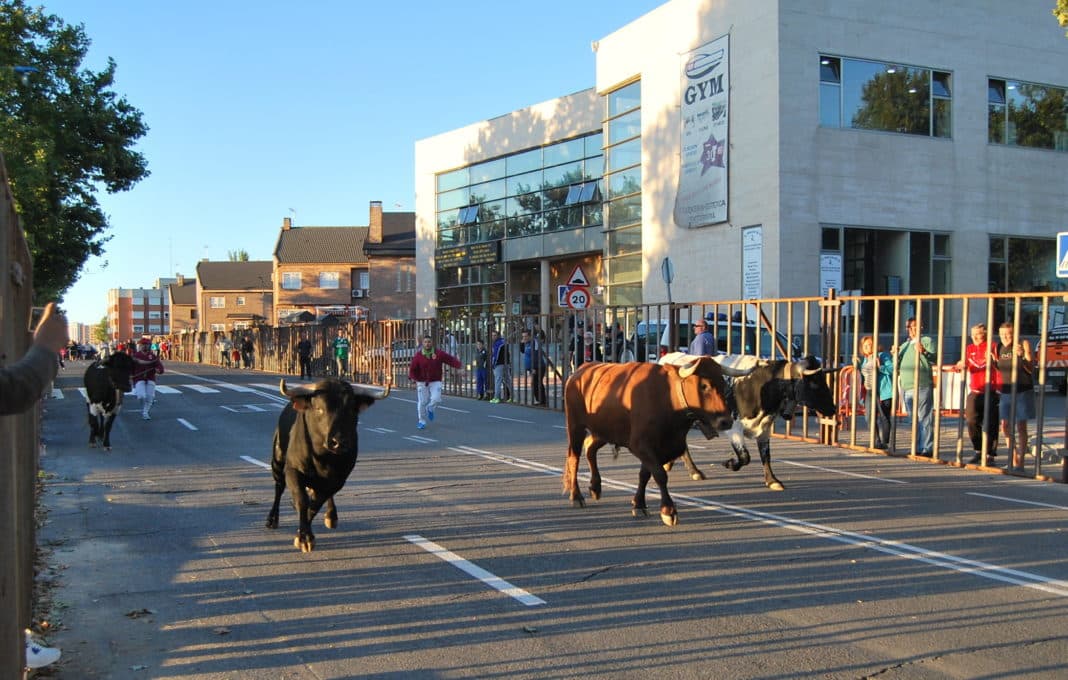 El coste de los encierros taurinos de Parla podría alcanzar los 150.000 € esta legislatura