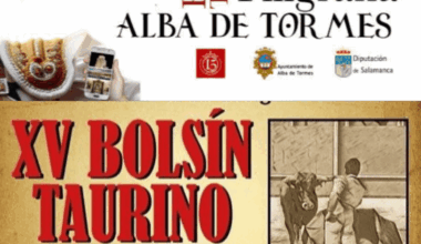 Los Certámenes "Botijo de Filigrana" y el "Villa de Candeleda" celebrarán sus "Finales" este Fin de Semana