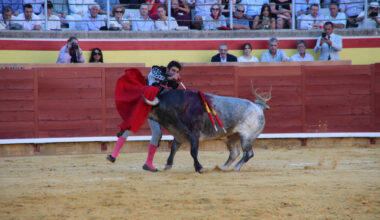 Primera Corrida de Abono. Toros San Antolín 2025. FOTOS: MARIO COLOMER