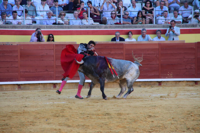 Primera Corrida de Abono. Toros San Antolín 2025. FOTOS: MARIO COLOMER