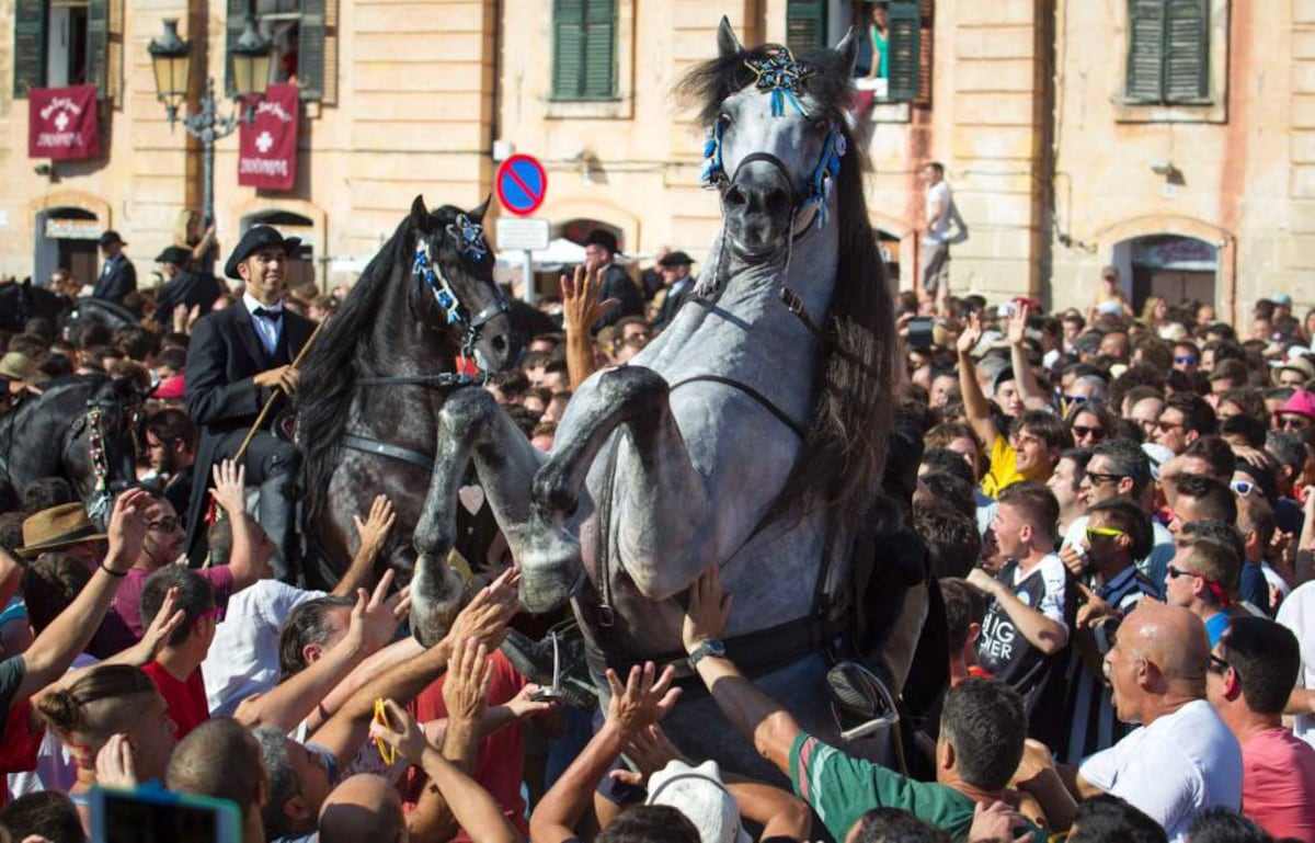 EL PAÍS