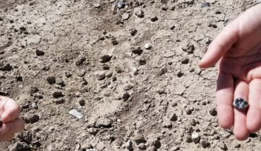 El hallazgo de una especie desconocida cambia la historia de la evolución humana