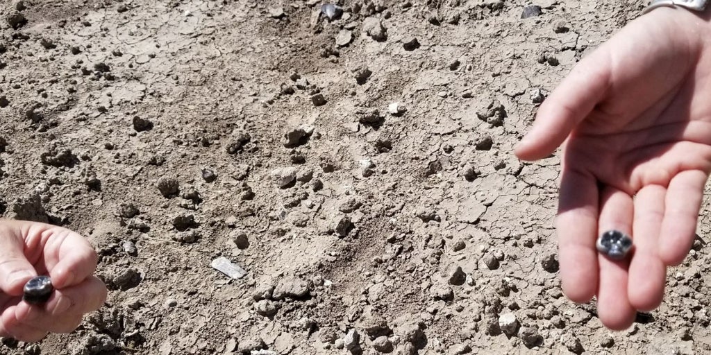 El hallazgo de una especie desconocida cambia la historia de la evolución humana