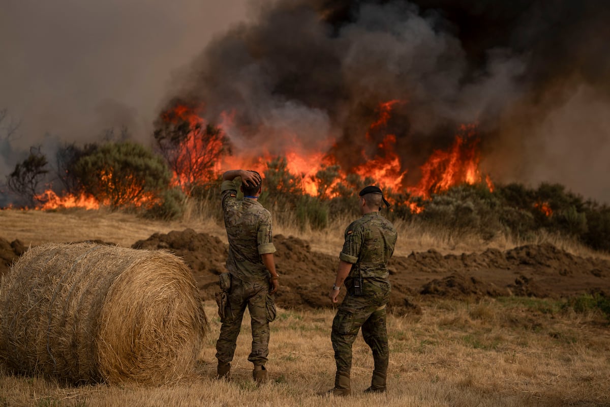 Los servicios de emergencia encaran una nueva jornada con 20 incendios graves activos, pero la meteorología a su favor | España