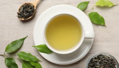 Estudio revela cómo el té verde y vitamina B3 combaten la acumulación de proteínas dañinas