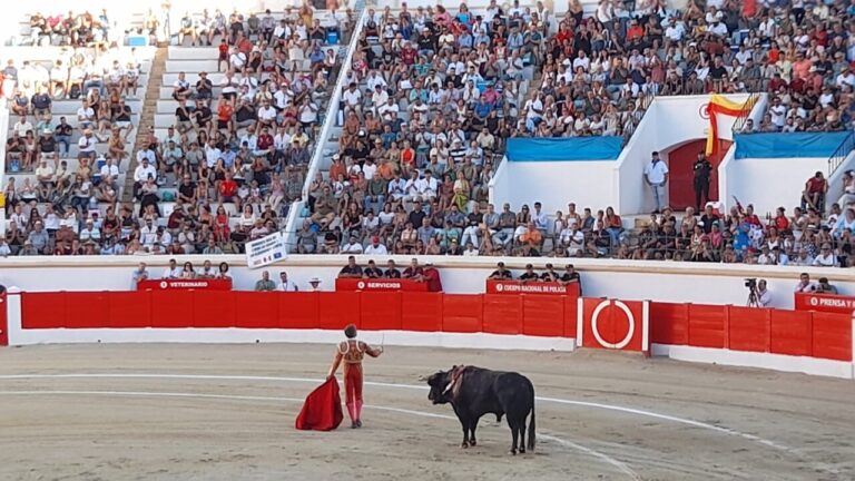 Toros